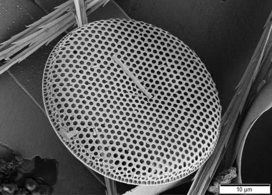 1758254233915150.jpg eca45d436eda1a9a548432fd7011f5b2.jpg